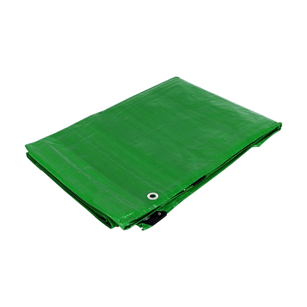 Lona 3 x 6 m, verde, Pretul - Pag 269