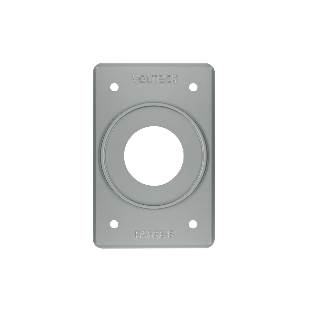 Placa para intemperie tipo FS, sencilla, de sobreponer - Pag 578