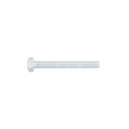 [T44570] Bolsa con 60 tornillos 5/16' x 2-1/2' tipo máquina, Fiero - Pag 756