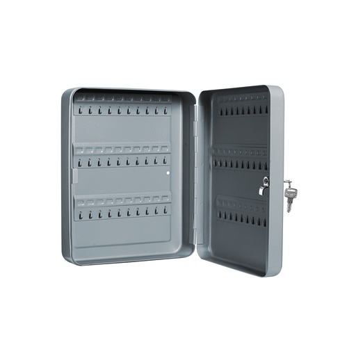 [T43069] Caja con 60 ganchos para llaves, Hermex - Pag 770