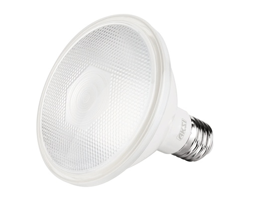 [A121511] Foco LED PAR 30 12W luz blanca IP65, caja color