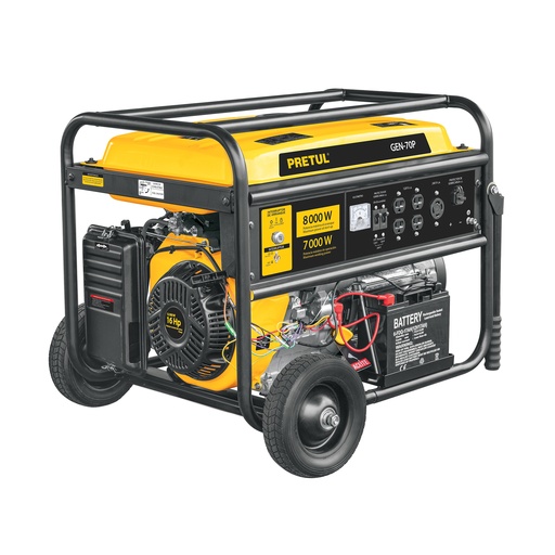 [T26036] Generador portátil 8 kW motor a gasolina, Pretul - Pag 220