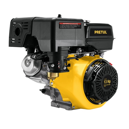 [T28115] Motor a gasolina 13 HP, Pretul - Pag 370